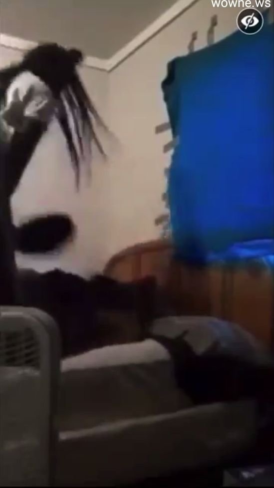 Girlfriend Beats Side Chick With A Frying Pan (18+)