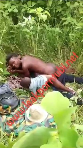 Couple caught fucking inside bush