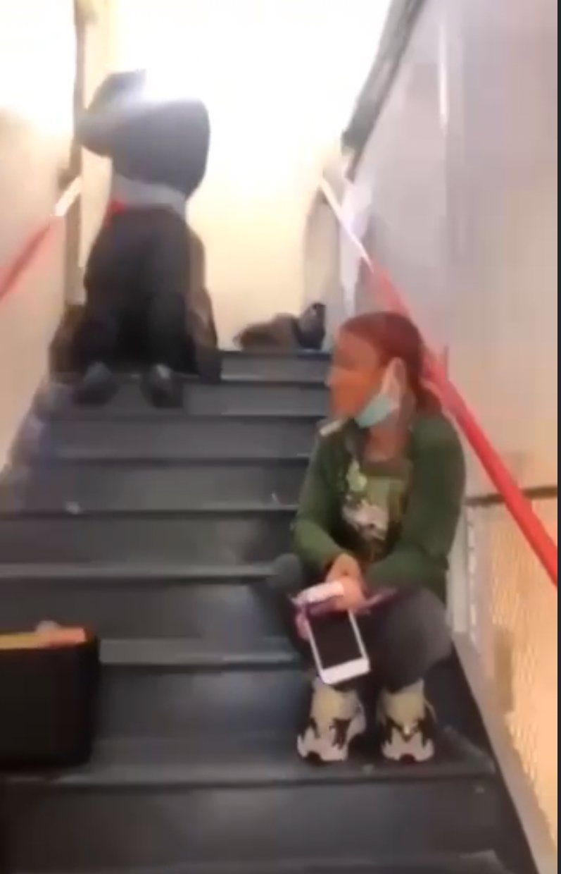 Couples caught fucking in public 
